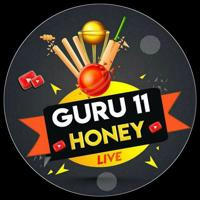 GURU 11 HONEY