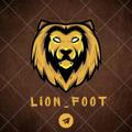 LION FOOT ⚽️