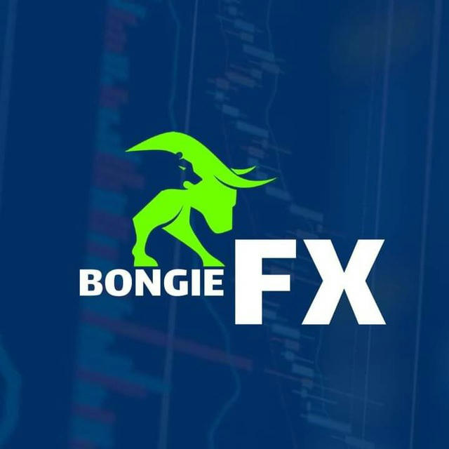 BONGIE FX