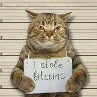 I stole bitcoins