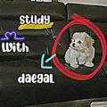 study with daegal ! [ HIRMIN | SLOW POST ]