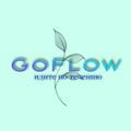 GoFlow |Обучение |1|