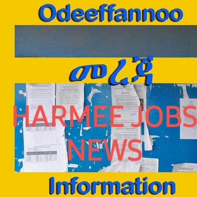 Harmee JobsNews