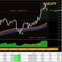 Best Forex Trading Strategy