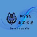 NSGU 频道