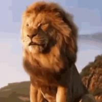 🦁 🏢 PERPUSTAKAAN 🦁SINGA YEHUDA 717 🏢 🦁 ( 🦁 🏢 THE LION OF JUDAH LIBRARY 717 🏢 🦁 )