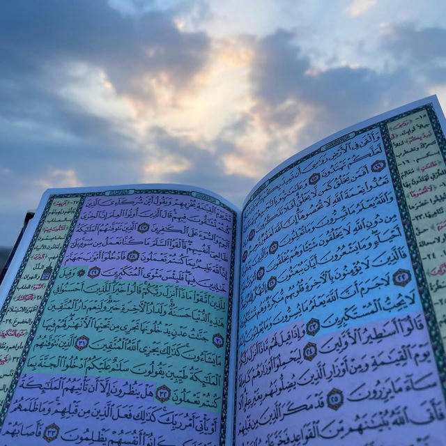 رسائل تحفيز لأهل القرآن 💌