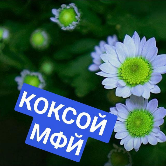 "КОКСОЙ МФЙ" rasmiy kanali