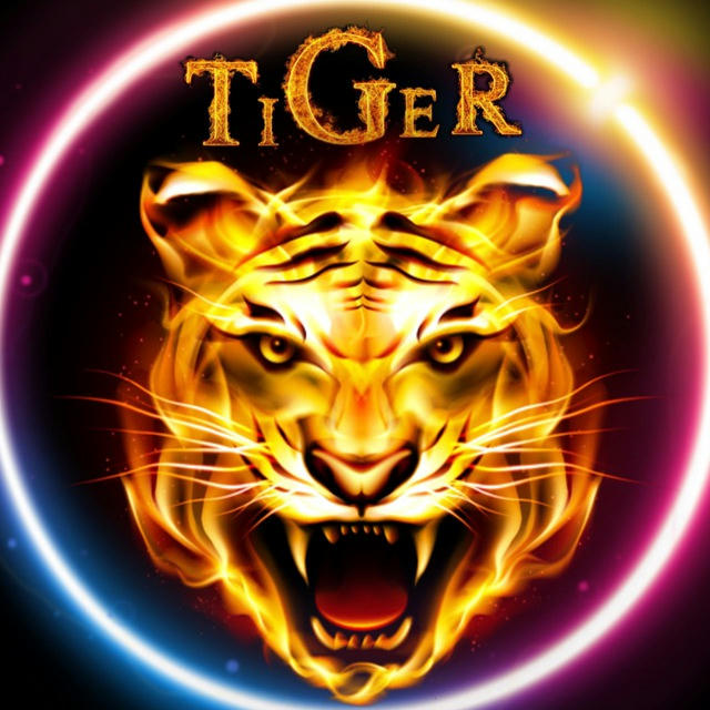 TIGER MOD FILE UPDATES