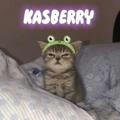 KASBERRY