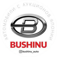 BUSHINUAUTO