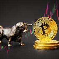 Crypto Bull Run 2023-25