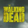 The Walking Dead 11° Temporada