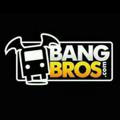 Bang Bros Now