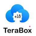 TERABOX CHANNELS | TIBIBOX GROUP | MEMORY BOX GROUP LINK | MEMORYBOX ADULT XXX VIDEOS | MOMERYBOX