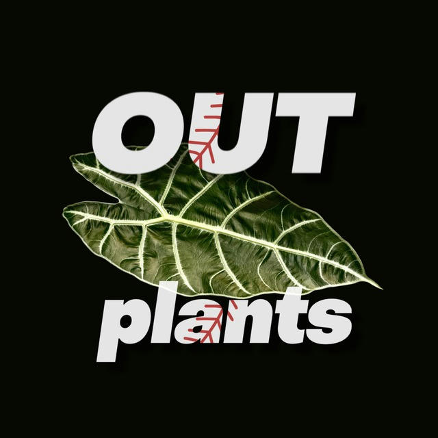 OUTPLANTS