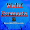 Waliif Furmaata