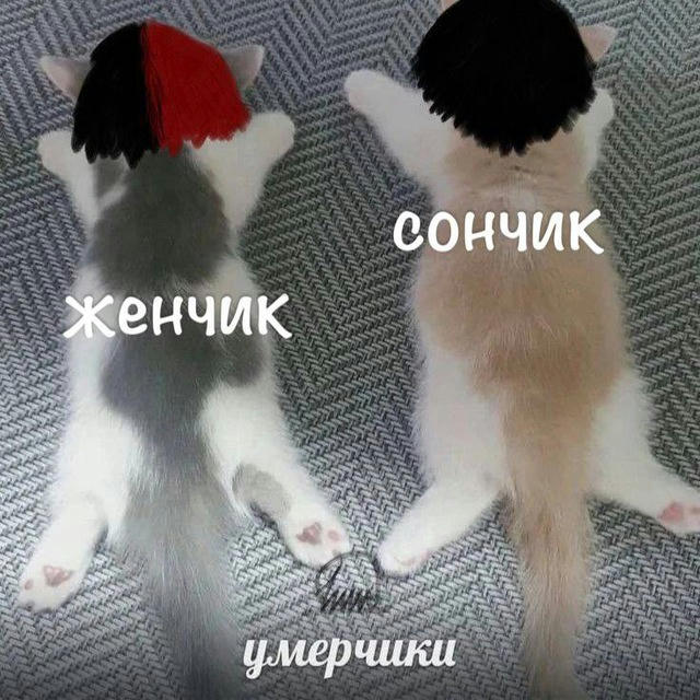 чбчг из экстази