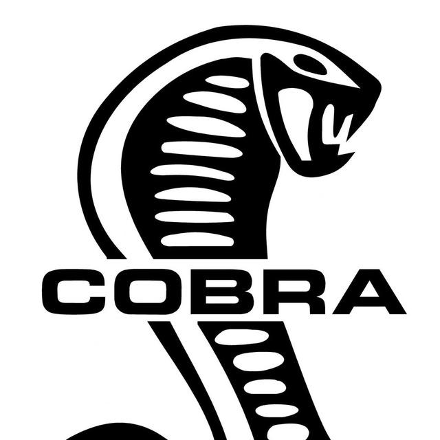 MMA Cobra