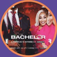 🇫🇷 The Bachelor VF FRENCH Saison 2 1 Intégrale