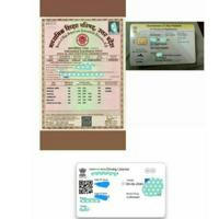 Driving licence Id card all documents