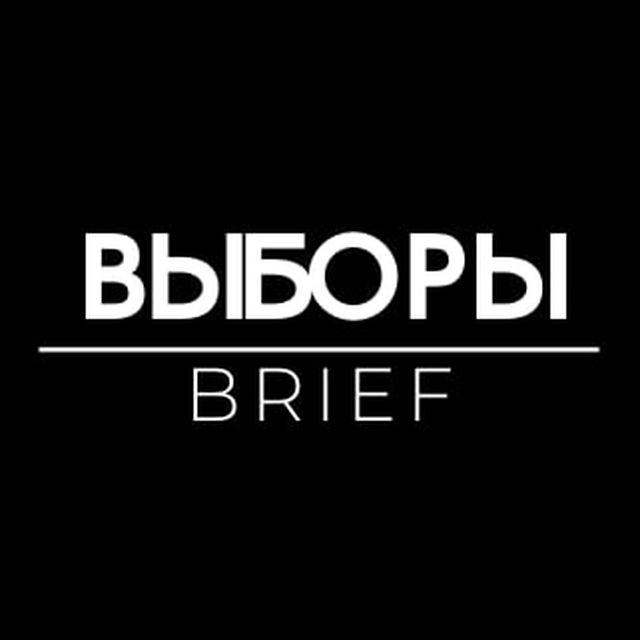 Выборы Brief