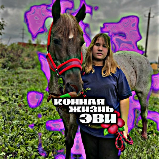 🐎конная жизнь Эви🌺