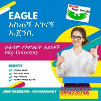 EAGLE Tech and Business Consultancy