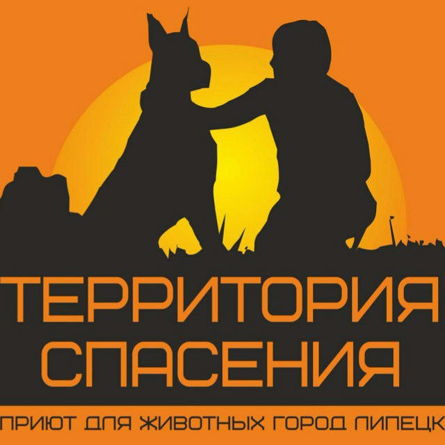 "Территория спасения" приют для бездомных животных, Липецк