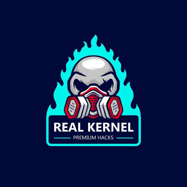 Real Kernel Cheat ™️