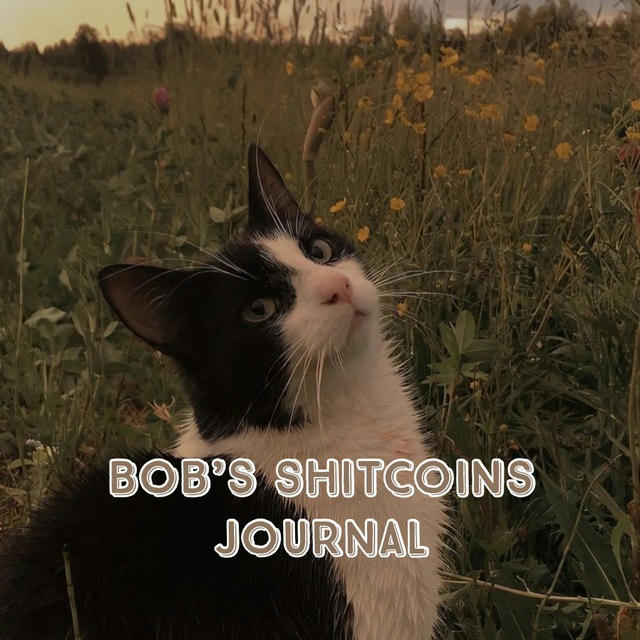Bob’s Shitcoins Journal