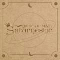 Saturnestic - REST