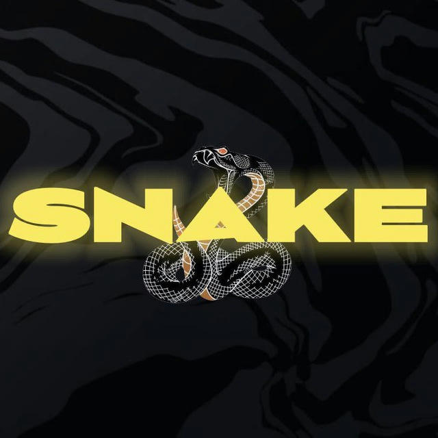 Black Snake | Stock