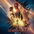 Marvel Movies In Multi Audio || Spider-Man No Way Home Is Online 👀