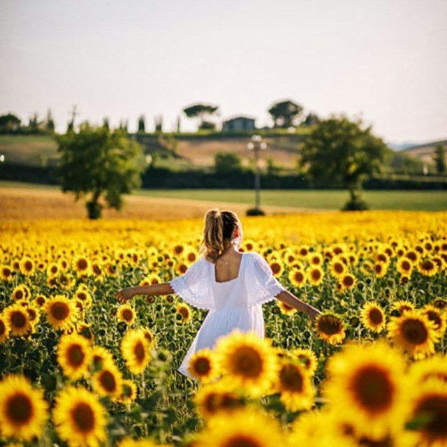 🌻افتابگردون❤️🌻