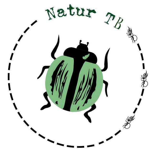 nature TB/магазин муравьёв