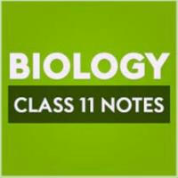 Class 11 Biology Handwritten Notes