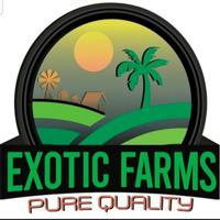 CALI EXOTICS Farms🇺🇲