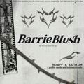 Barrie Blush! 𖤝 close down
