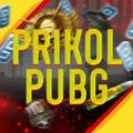 Prikol Pubg