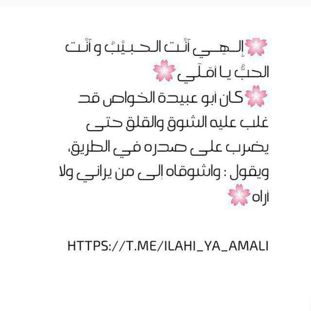 🌸إلـهـي أنت الحبيب وأنت الحب يا أملي🌸