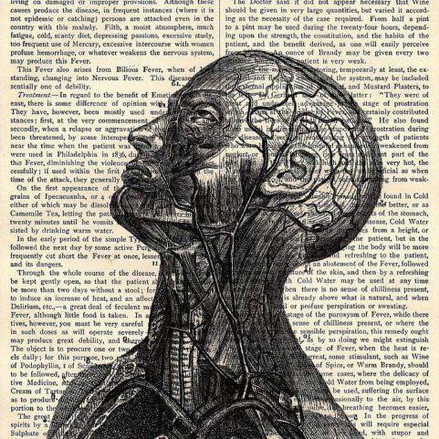 للمرحلة الثانية MED-IC-INE