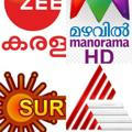 Malayalam serial world