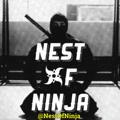 Nest OF Ninja"⛩