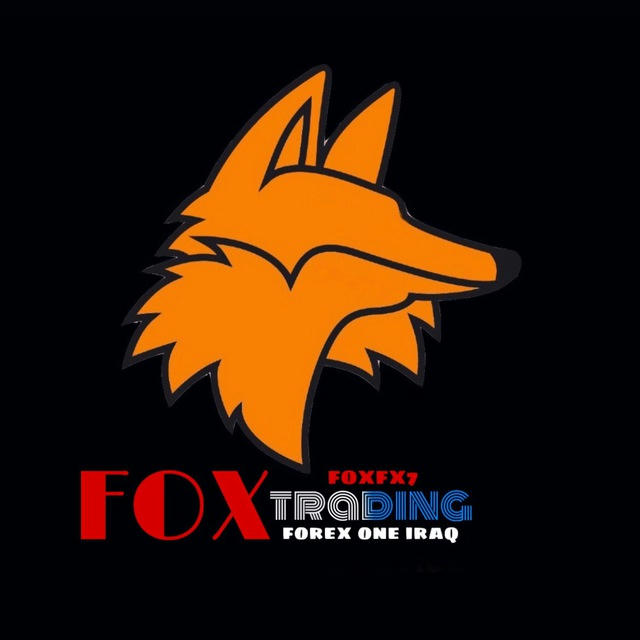 توصيات / FOX 📊