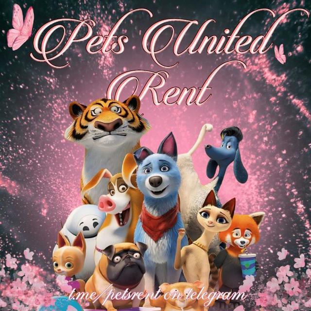 𖦥 PETS UNITED RENT OPEN