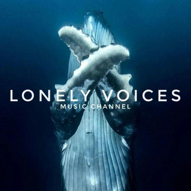 Lonely voices🐋