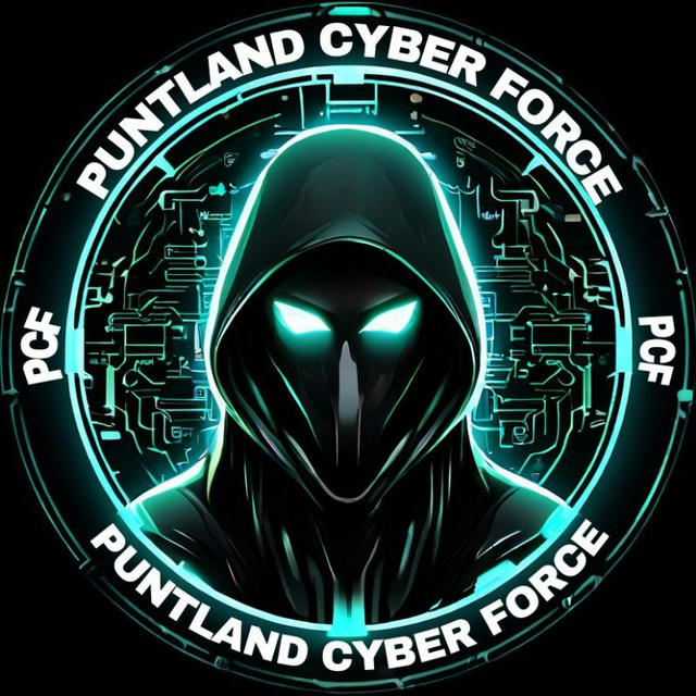 PUNTLAND CYBER FORCE (PCF)