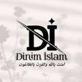 Dinim Islam | الزنك