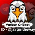 VARDAN CRICKET